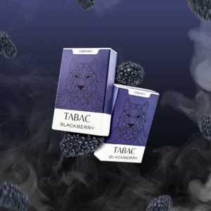 Nanobars Neo (V2) Tabac Blackberry