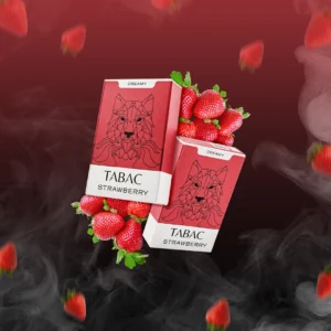 Nanobars Neo (V2) Tabac Strawberry